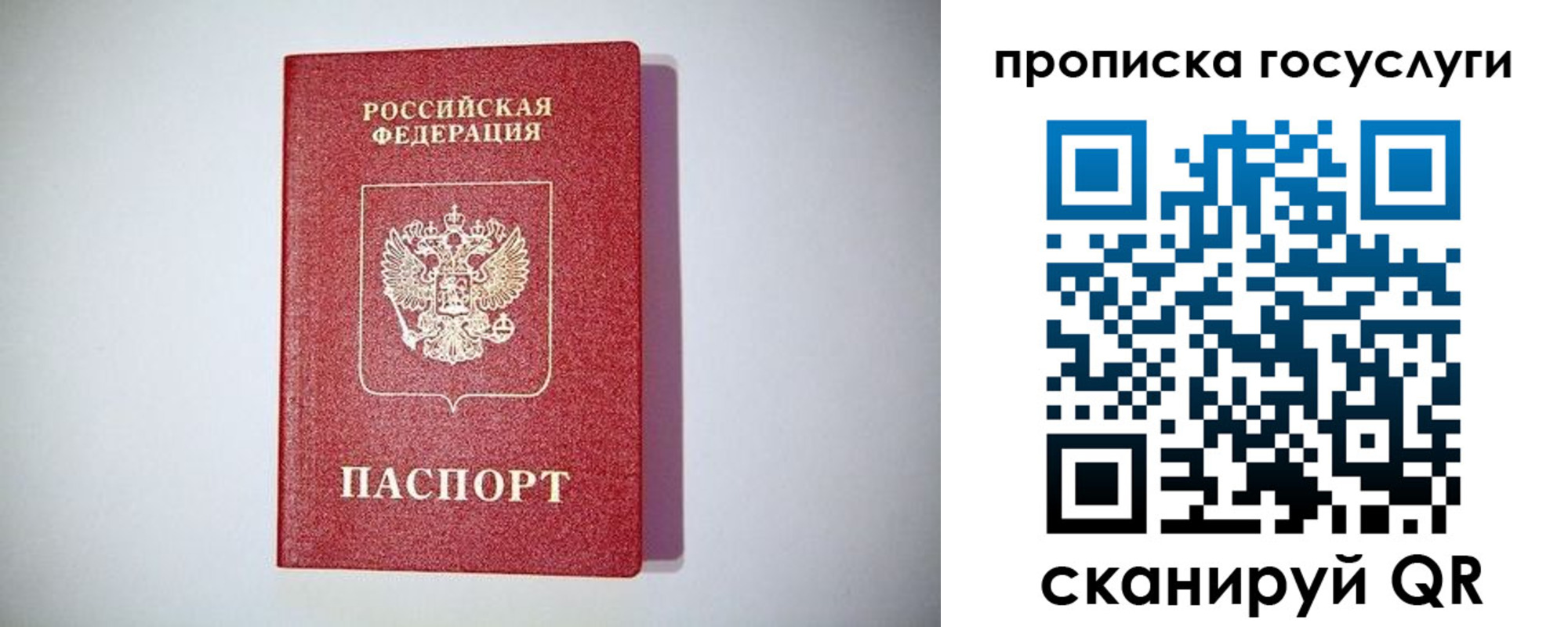 временная регистрация госуслуги в Бикине